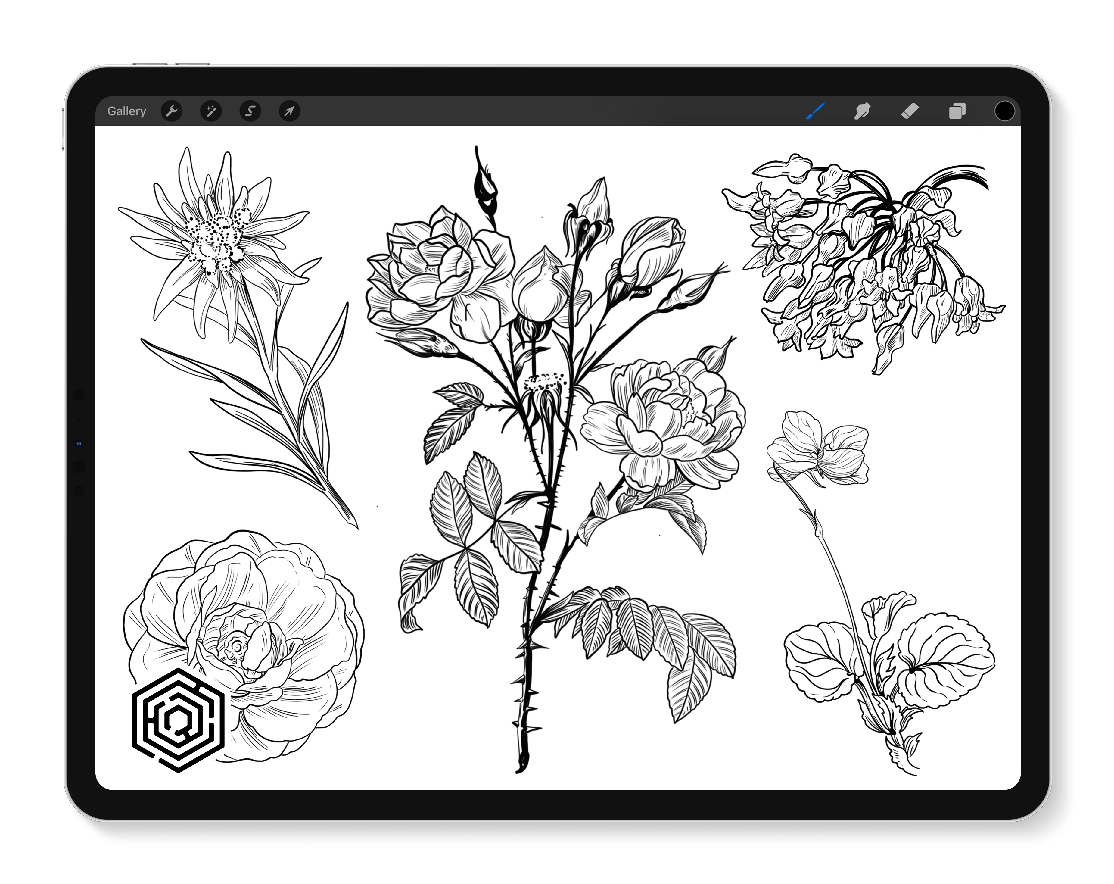 Botanicals Vol. 1.2