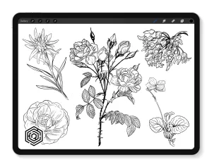 Botanicals Vol. 1.2