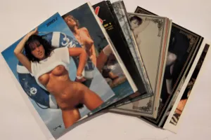 HAND MADE SET #7 19 CARD SET CAROL SIMPSON,COMIX, BRANDY (2), BONITA SAINT, TIFFANY BURLINGAME & more.