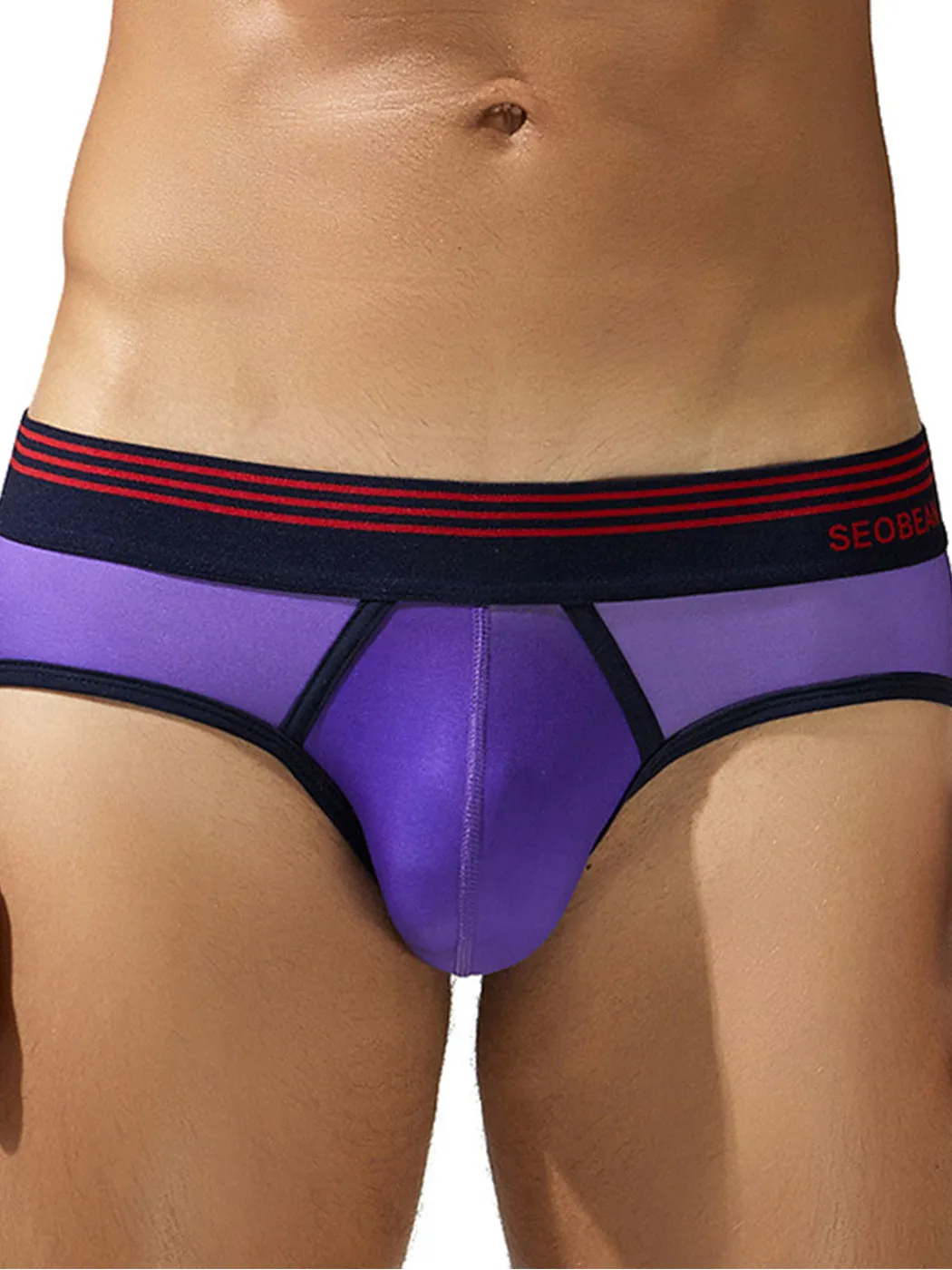 Mens Spliced Lines Briefs in Ombre