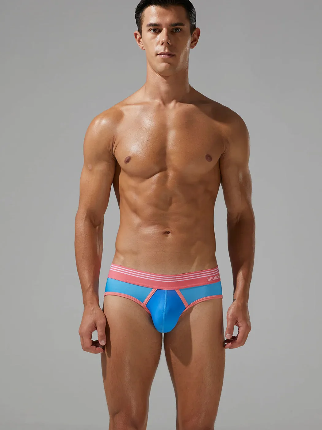 Mens Spliced Lines Briefs in Ombre