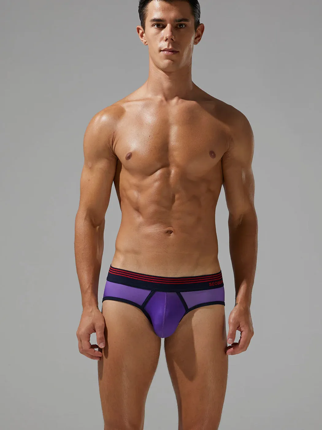Mens Spliced Lines Briefs in Ombre