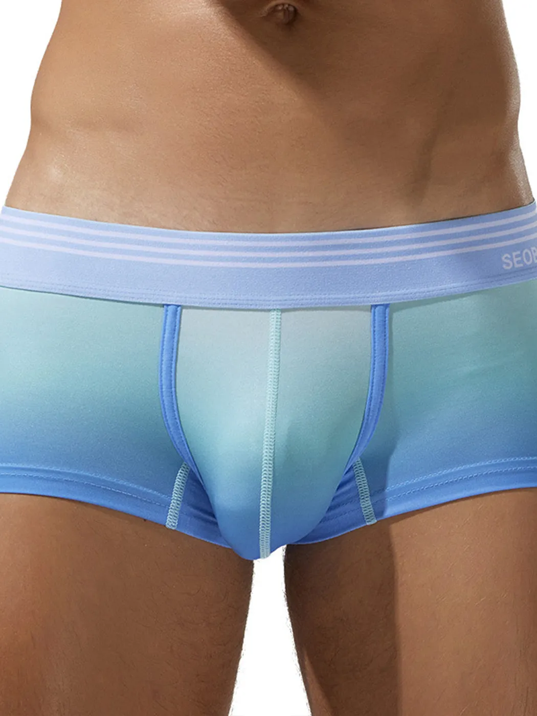 Mens Spliced Lines Trunks in Ombre
