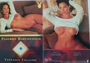PLAYBOY'S THE BOOK of LINGERIE VOL.1 GOLD BIRTHSTONE TIFFANY FALLON