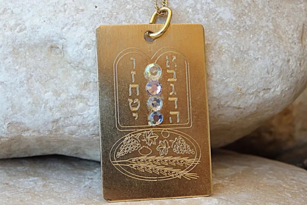 Tag dogs Necklace
