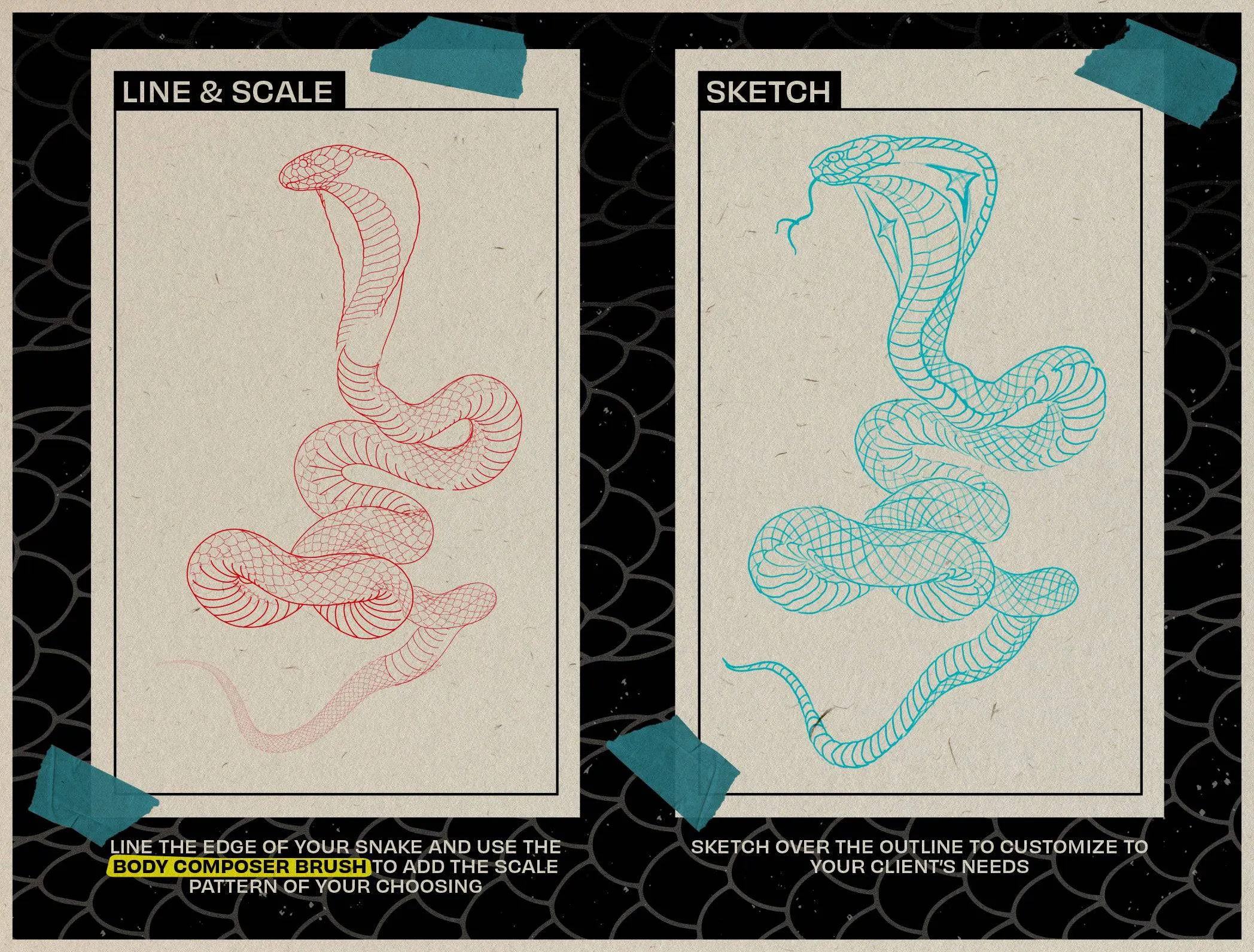 The Snake Kit
