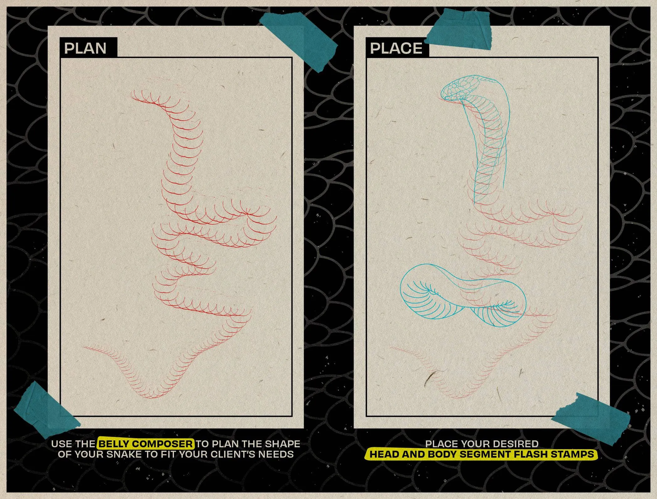 The Snake Kit