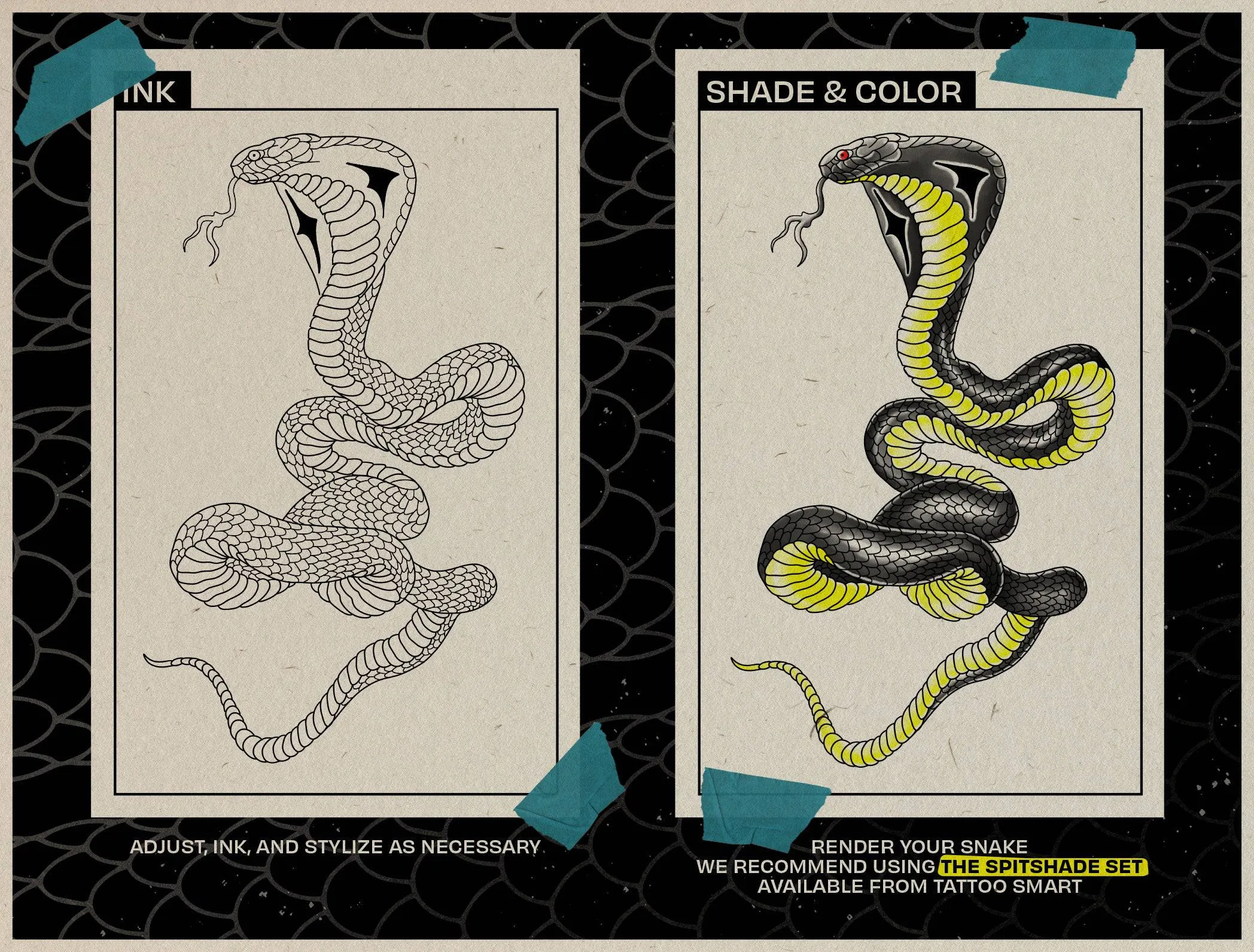 The Snake Kit