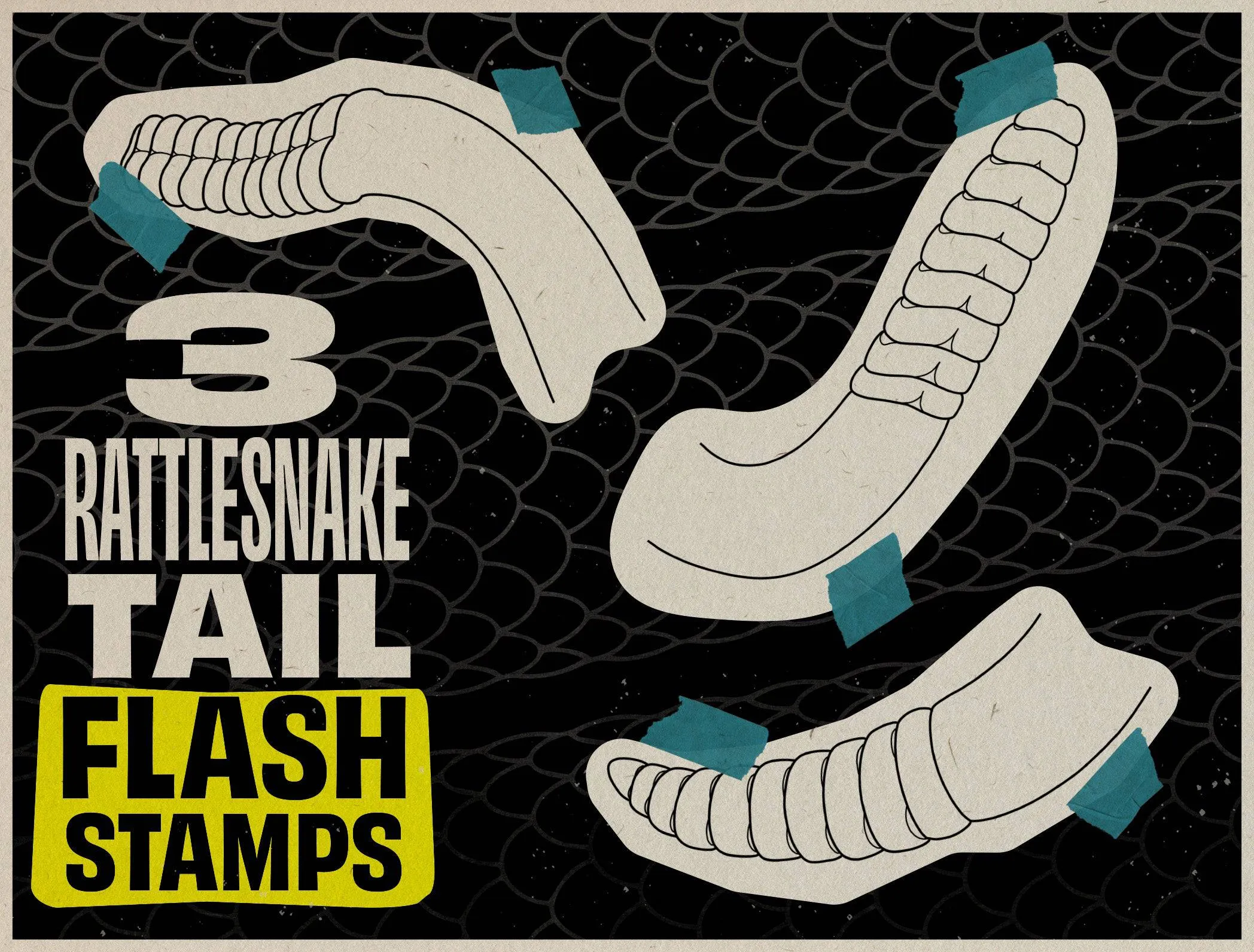 The Snake Kit