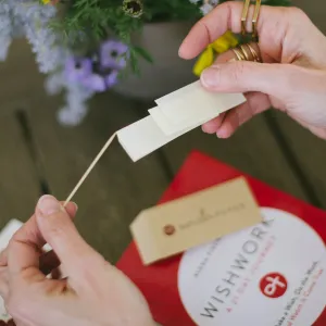Wishpaper Refill